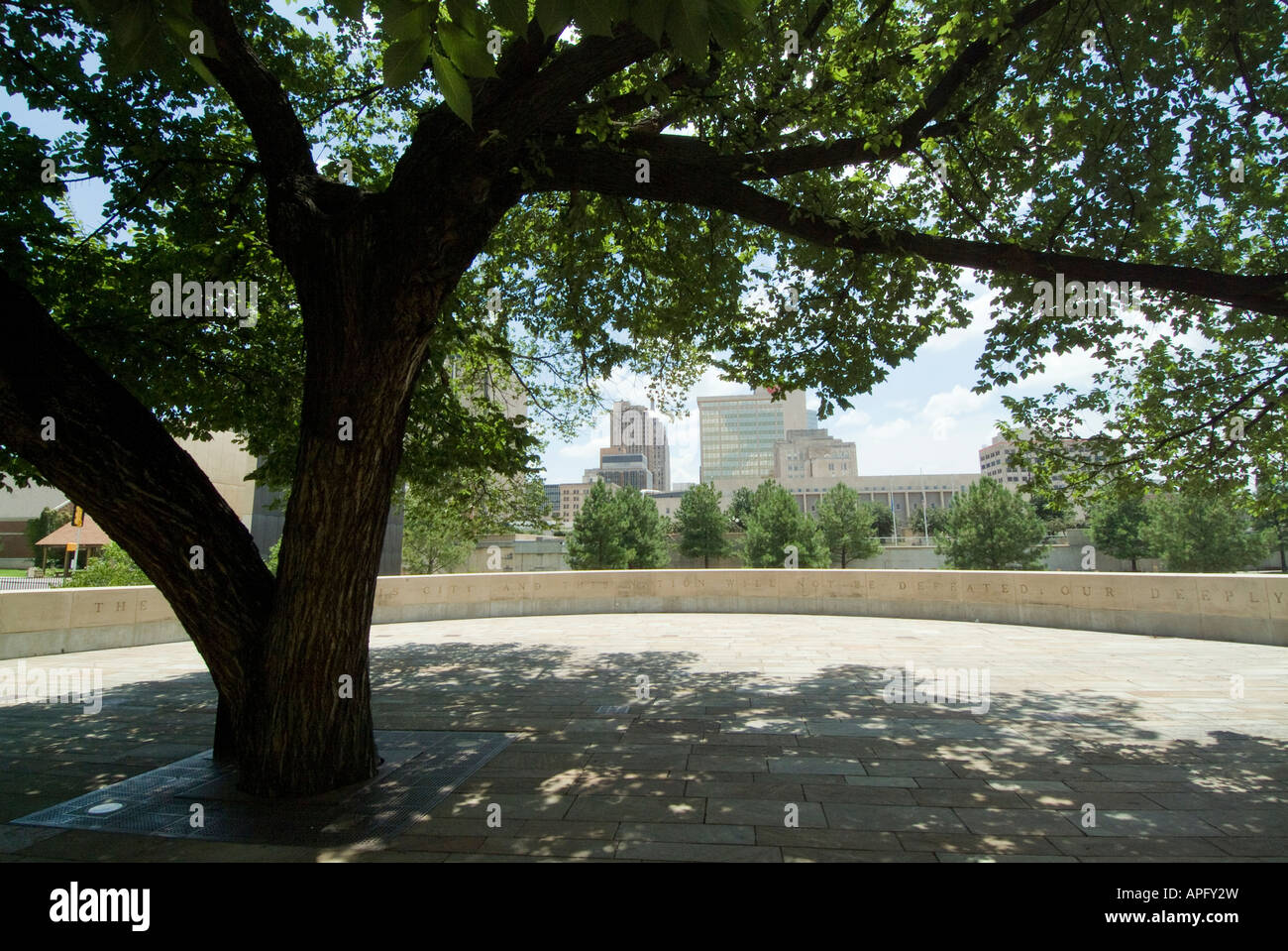 Le survivant Tree à l'Oklahoma City National Memorial site de l'édifice fédéral Alfred P. Murrah. Banque D'Images