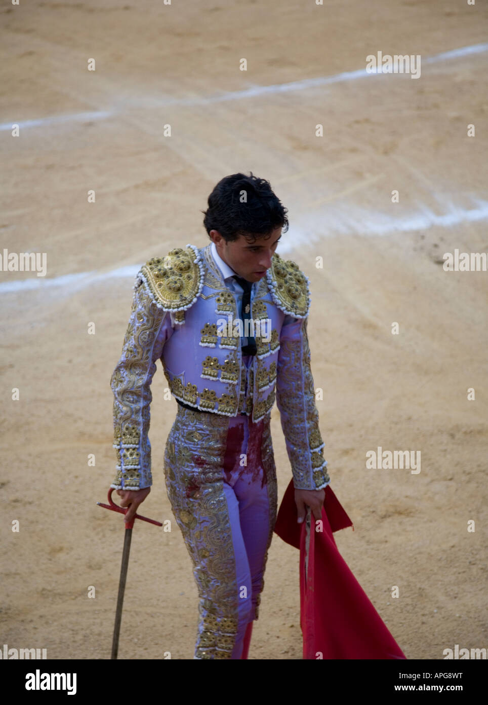 De Matador bolero lilas couvert de sang - avec épée/ longue dague dans la main. Banque D'Images