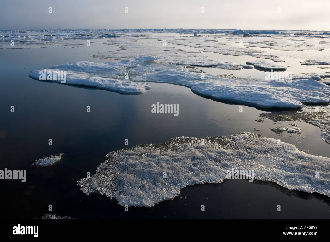 Pt de l'alaska Barrow et de glace de la mer de Chukchi Banque D'Images