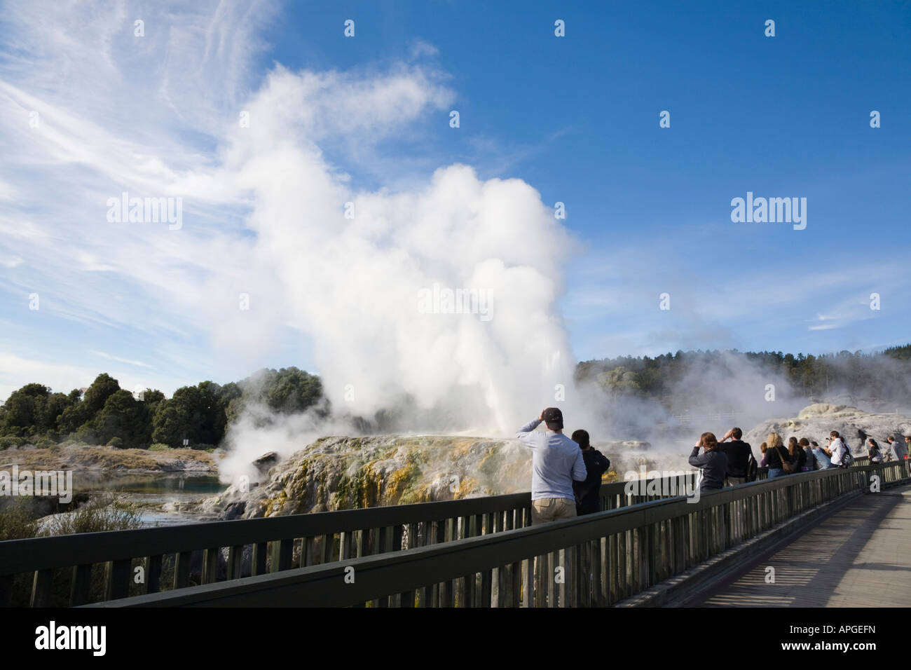 L'éruption du geyser Pohutu dans l'eau fumante de Te Puia réserve thermale de Whakarewarewa Rotorua Nouvelle Zélande Banque D'Images