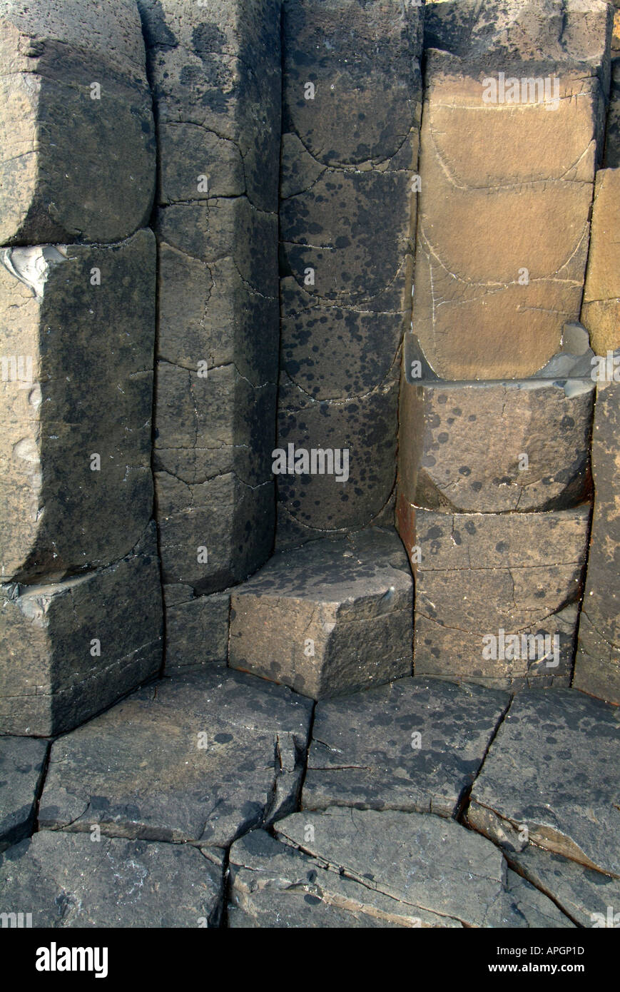 Colonnes de basalte de forme hexagonale à la Giant's Causeway, comté d'Antrim, en Irlande du Nord Banque D'Images
