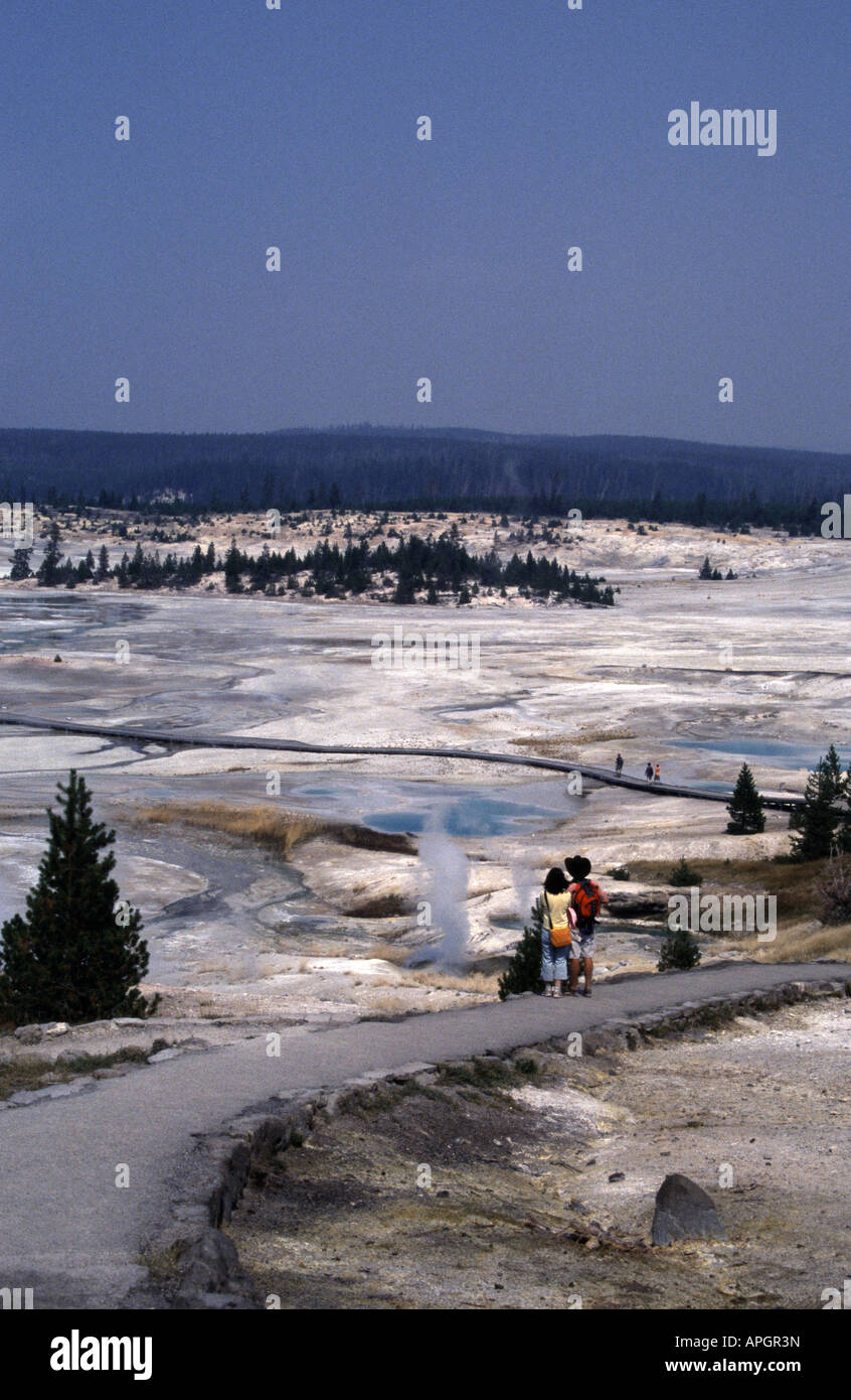 Bassin en porcelaine Norris Geyser Basin, Parc National de Yellowstone au Wyoming USA Banque D'Images
