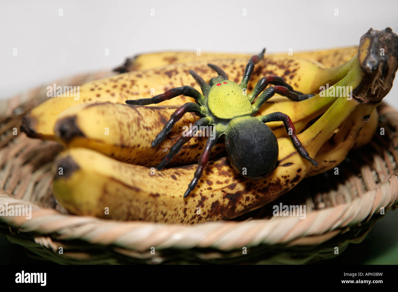 Fausse araignée en plastique sur les bananes. Se concentrer dans le centre. Shallow DOF Banque D'Images