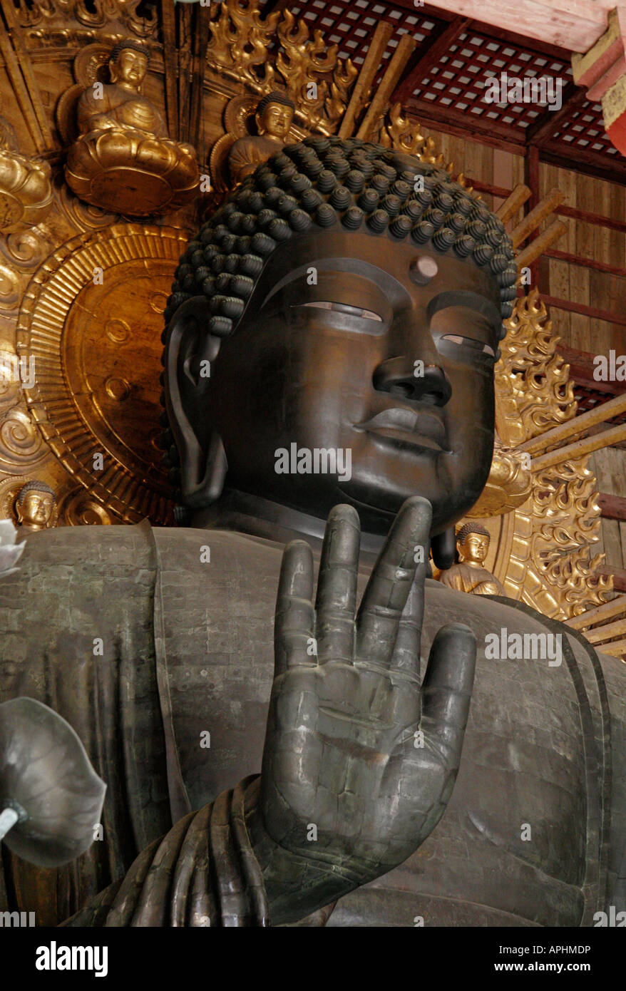 Dans le Grand Bouddha Daibutsu-den (Grande Salle du Bouddha) Temple Todaiji Temple Todai-ji, Nara, Japon Banque D'Images