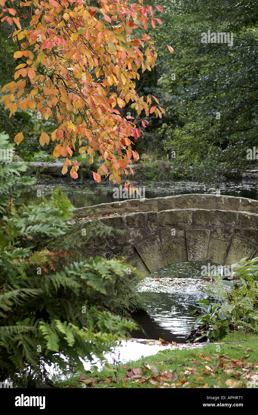 Automne en Angleterre Kent Wakehurst Banque D'Images