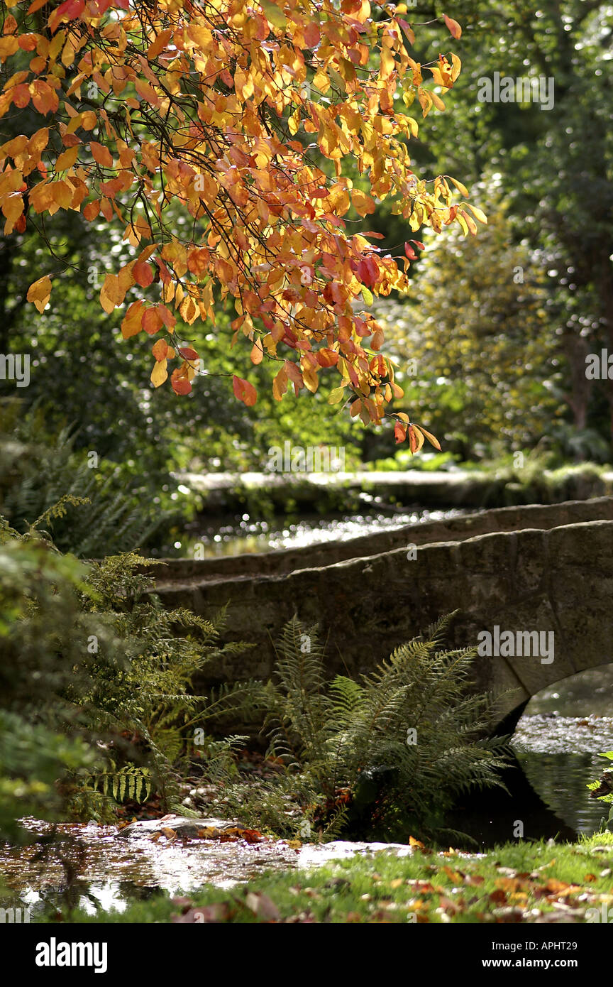 L'automne dans le Kent Wakehurst Banque D'Images