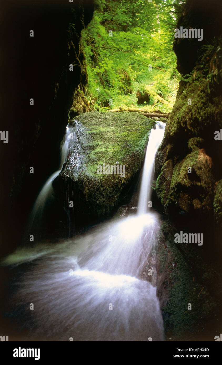 La brûlure de la douleur qu'elle s'écoule par Col venteux en Dollar Glen Écosse Clackmannanshire Banque D'Images