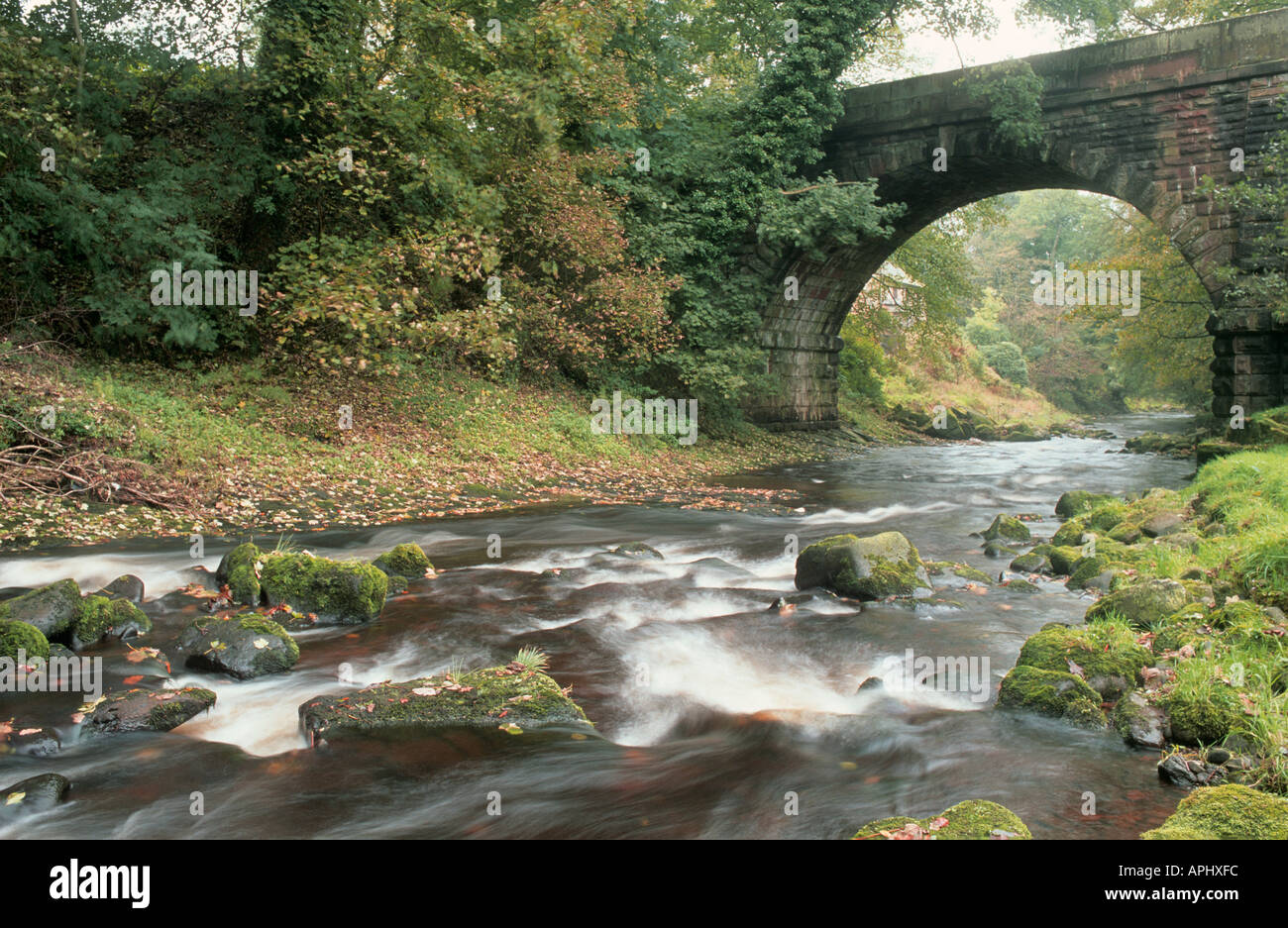 Dane rivière avec pont de Wincle Cheshire UK Banque D'Images