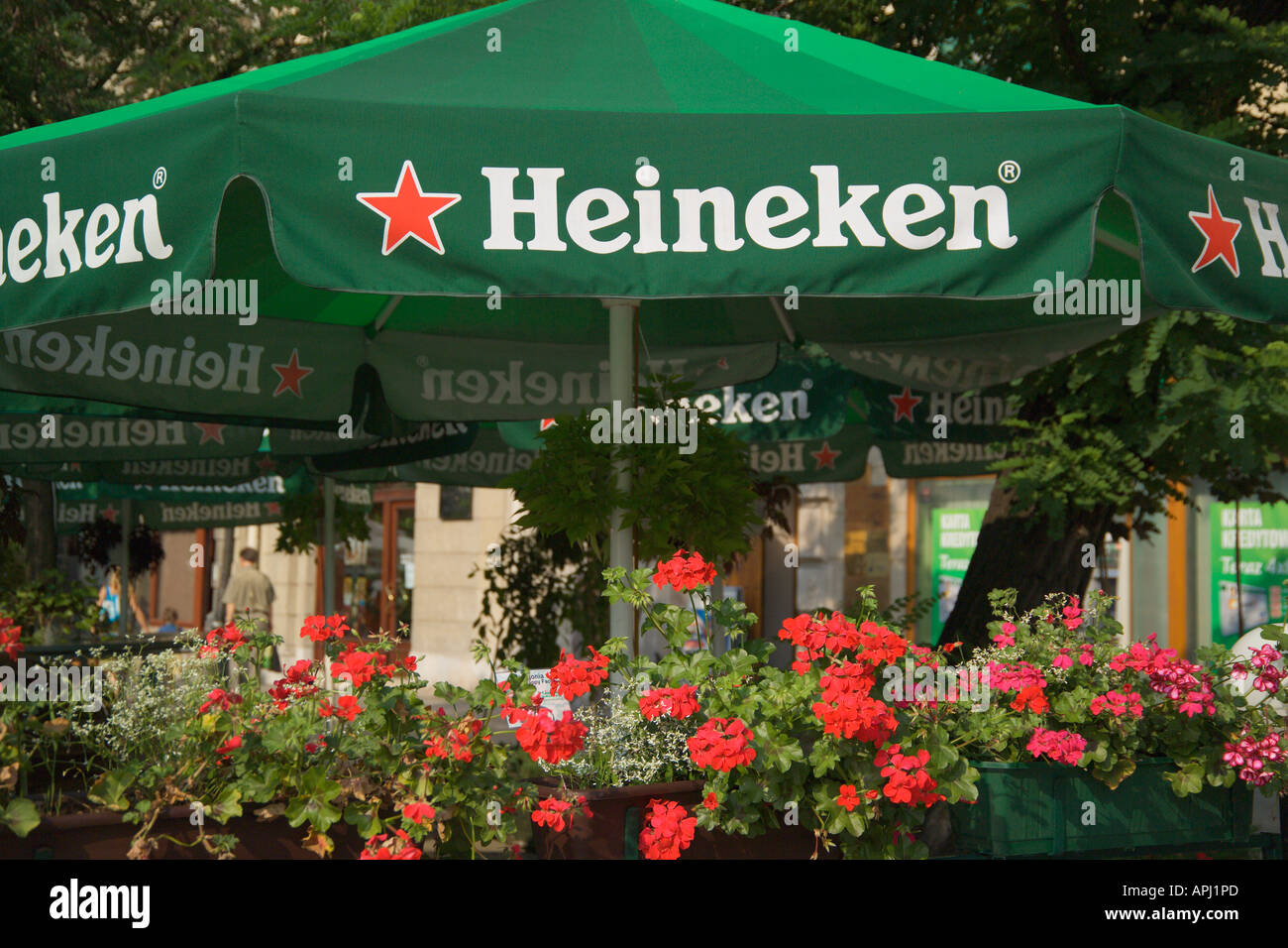 Parasol Heineken cafe Rynek Glowny Krakow Pologne Photo Stock - Alamy