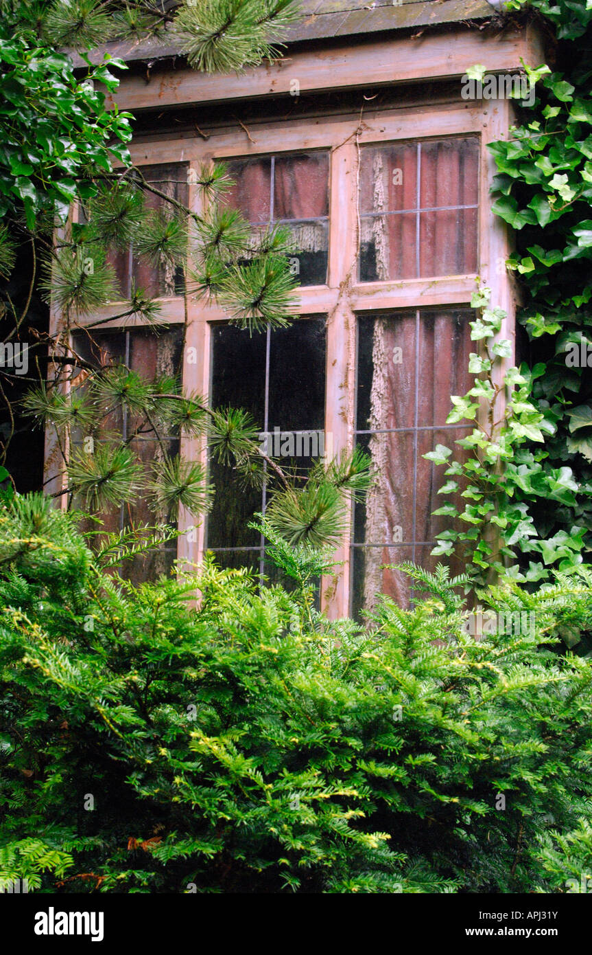 Une ancienne fenêtre dans un manoir château couvert de lierre et buissons abandon creepy spooky broken glass windows vide volets Banque D'Images