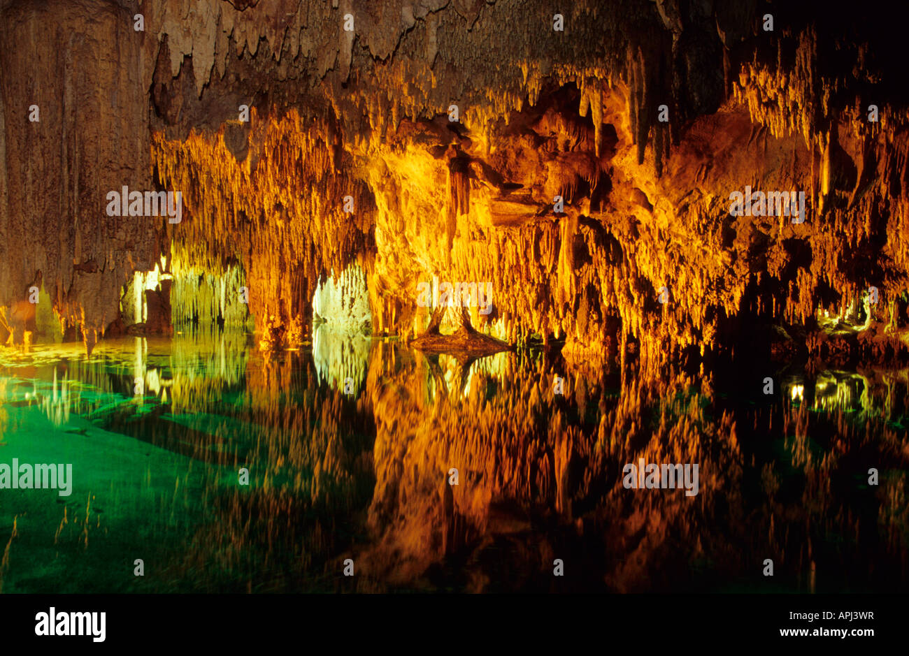 Aktun Chen grotte près de Cancun Tulum Riviera Maya Yucatan Mexique Banque D'Images