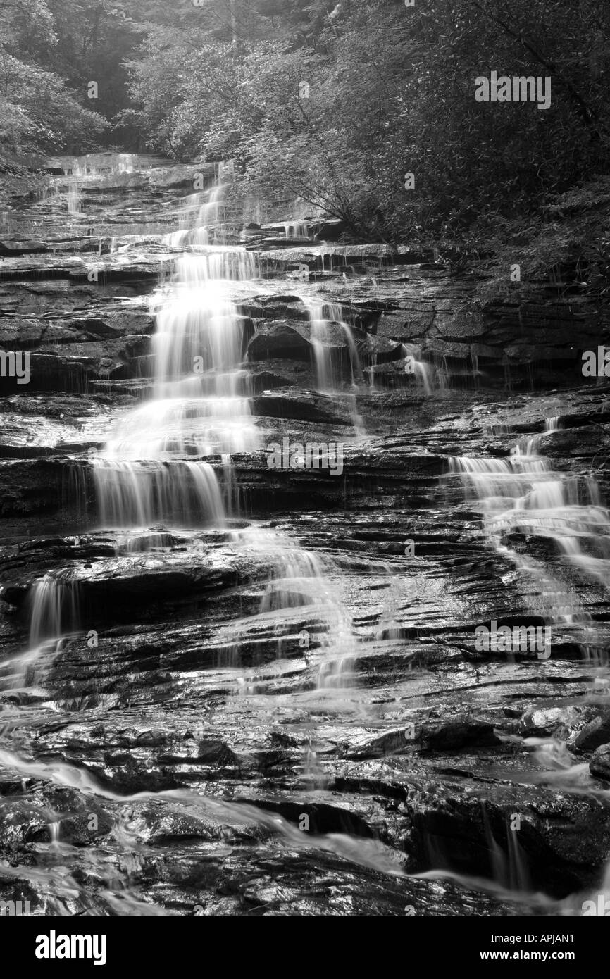 Tumbeling cascade vers le bas de la montagne avec arbres vert sur le dessus et les côtés sombres. Photographie en noir et blanc. Banque D'Images Tumbeling cascade vers le bas de la montagne avec arbres vert sur le dessus et les côtés sombres. Photographie en noir et blanc. Banque D'Images