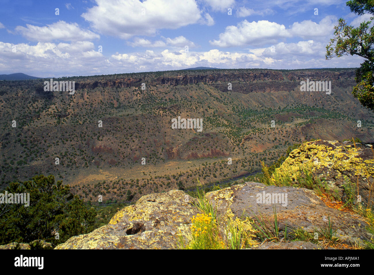 États-Unis Nouveau Mexique le Rio Grande Sud-ouest des États-Unis beauté dans la nature Banque D'Images