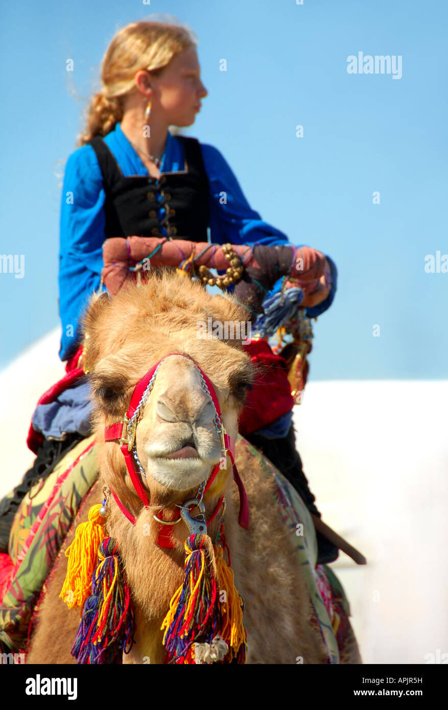 Femme en costume traditionnel Riding Camel Photo Stock - Alamy