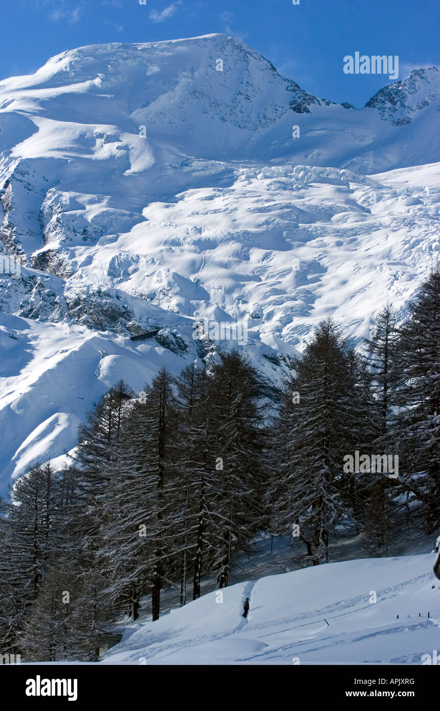 Marche à travers les arbres, dans la station de ski de Saas Fee au-dessus du glacier à Wallis de montagne en Suisse Banque D'Images