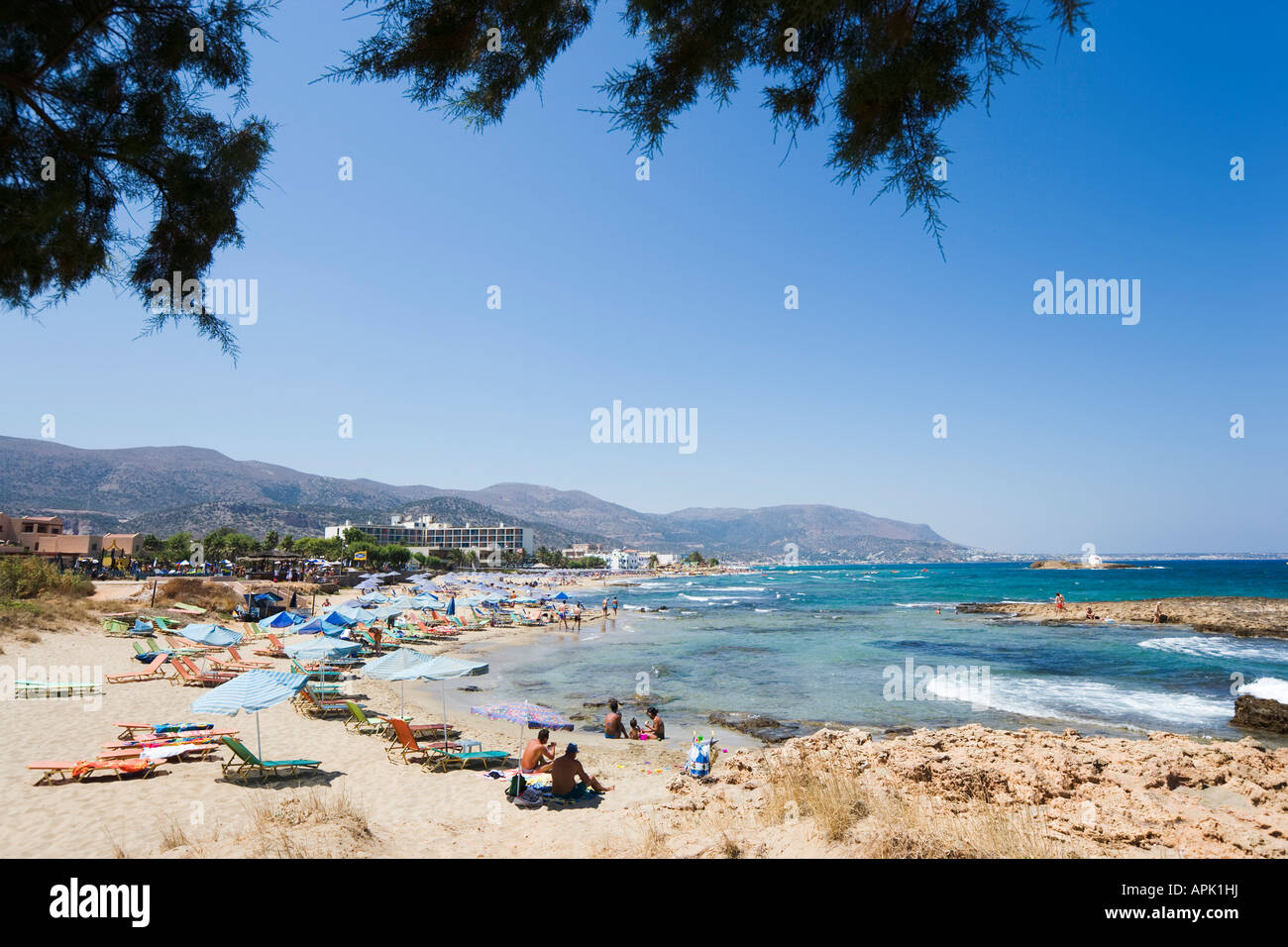 Plage, Côte Nord, Malia, Crète, Grèce Banque D'Images