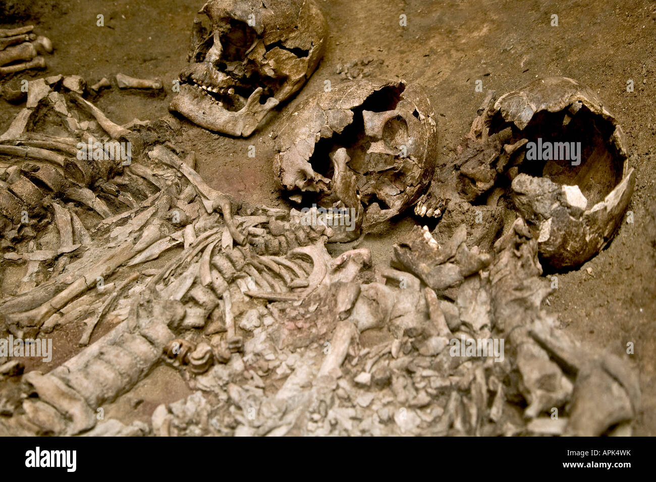 Les squelettes dans une tombe ouverte Banque D'Images