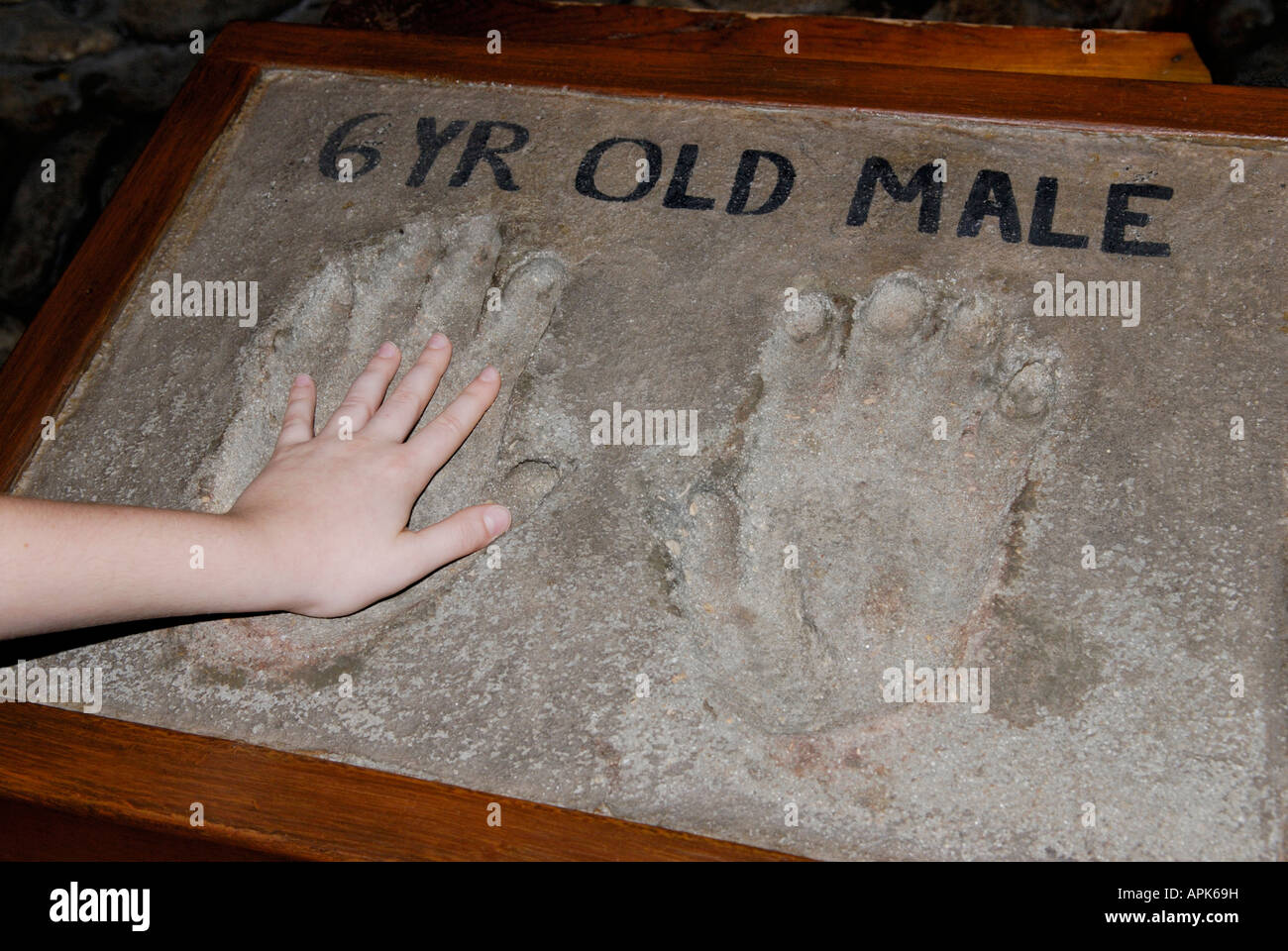 Un enfant de six ans, met sa main dans une impression d'une faite par un enfant de six ans gorilla Banque D'Images