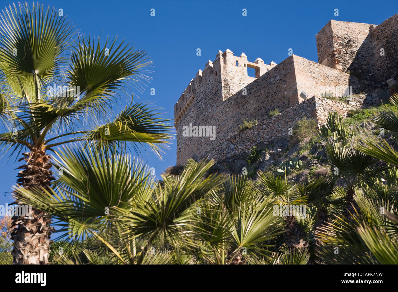 Almuñecar Costa Tropical Granada Province Espagne Castillo de San Miguel Banque D'Images