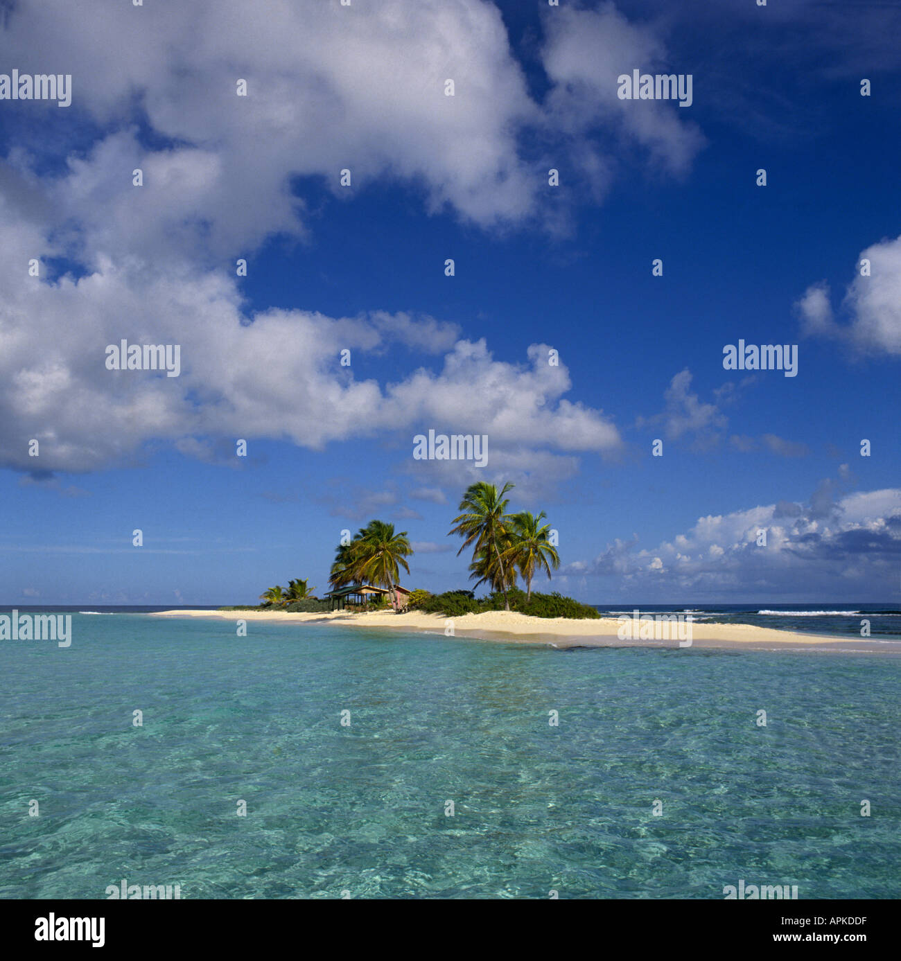 Vue à distance à la mer sur une île déserte pour tropical avec des palmiers de l'île de Sable au large de l'île d'anguilla dans les Caraïbes Banque D'Images