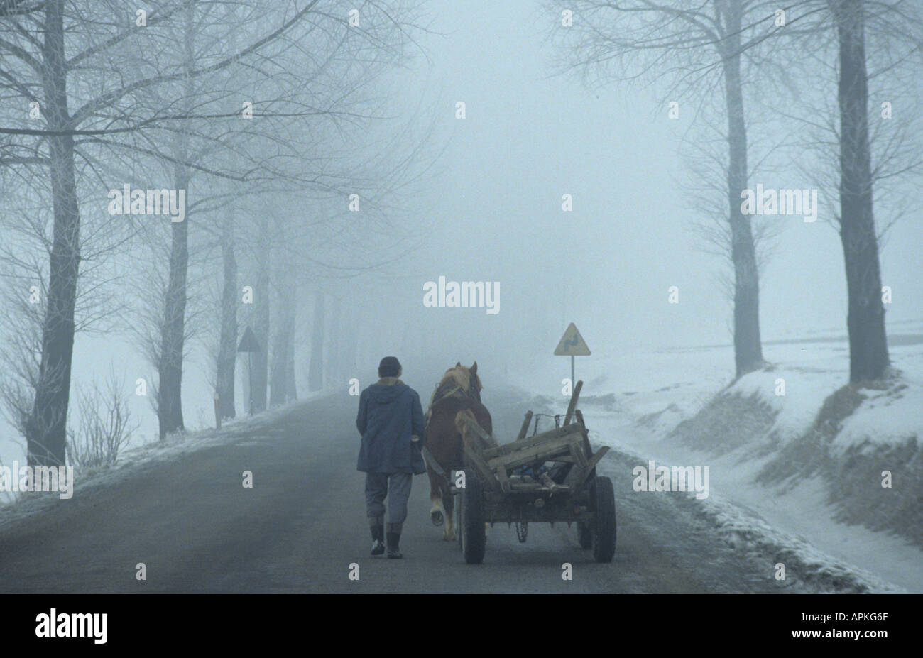 Les fermes agricoles polonais Pologne Zakopane horse cart Banque D'Images