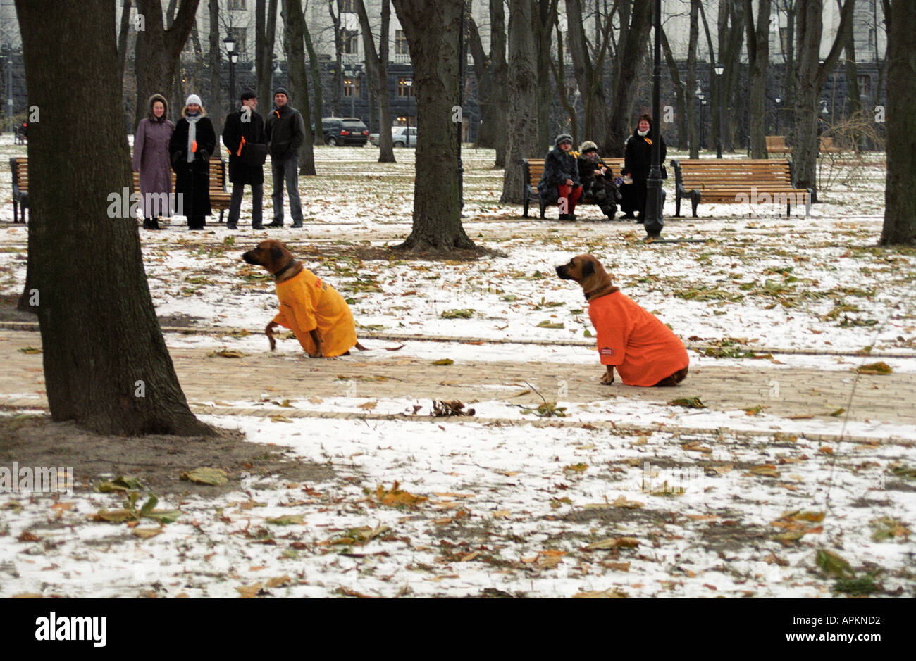 Révolution Orange Maydan Nezaleznosty Iouchtchenko Ukraine Ukraine Kiev Kiev 2004 Maryjnsky la démocratie Ianoukovitch Timochenko Palace Banque D'Images