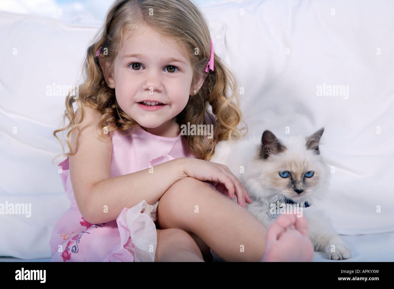 Petite fille jouant avec siamesse chaton Banque D'Images