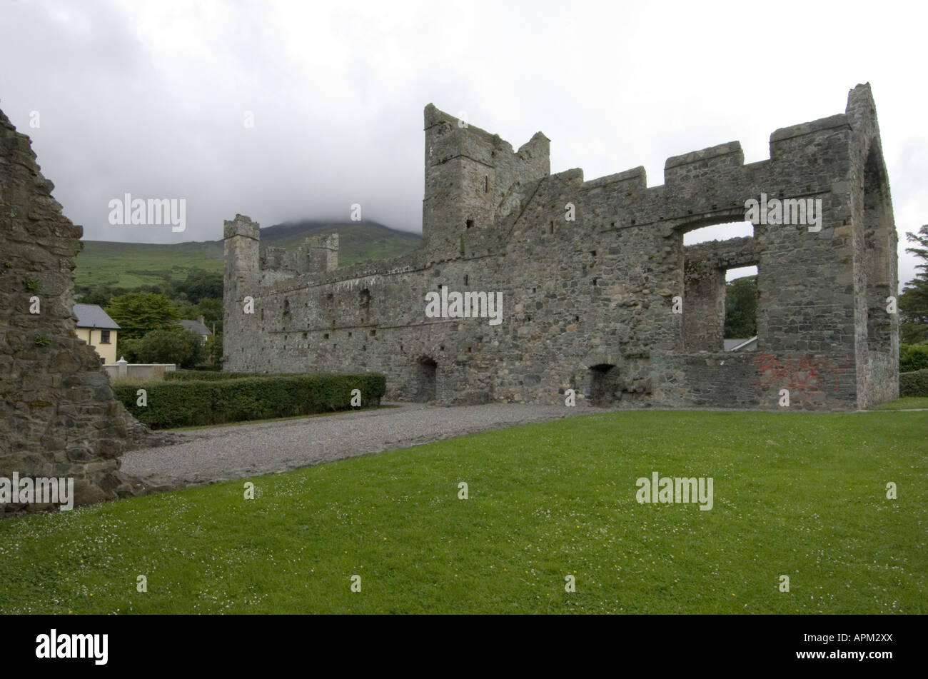 Abbaye de Carlingford Co Louth Irlande www osheaphotography com Banque D'Images