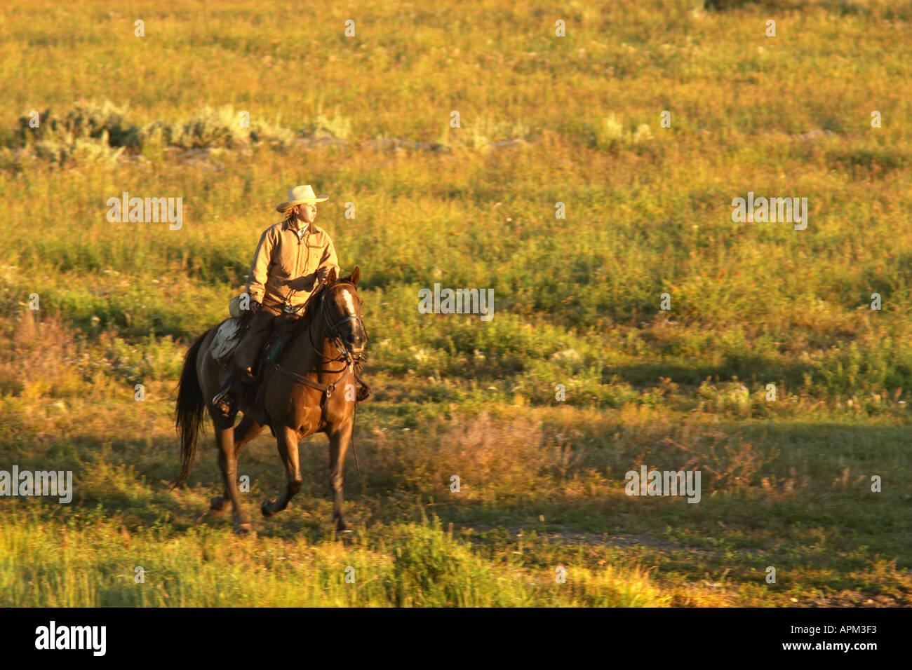 Femme sur l'équitation à travers les pâturages Triangle X Ranch Parc National de Grand Teton Teton Comté Bretagne France Banque D'Images