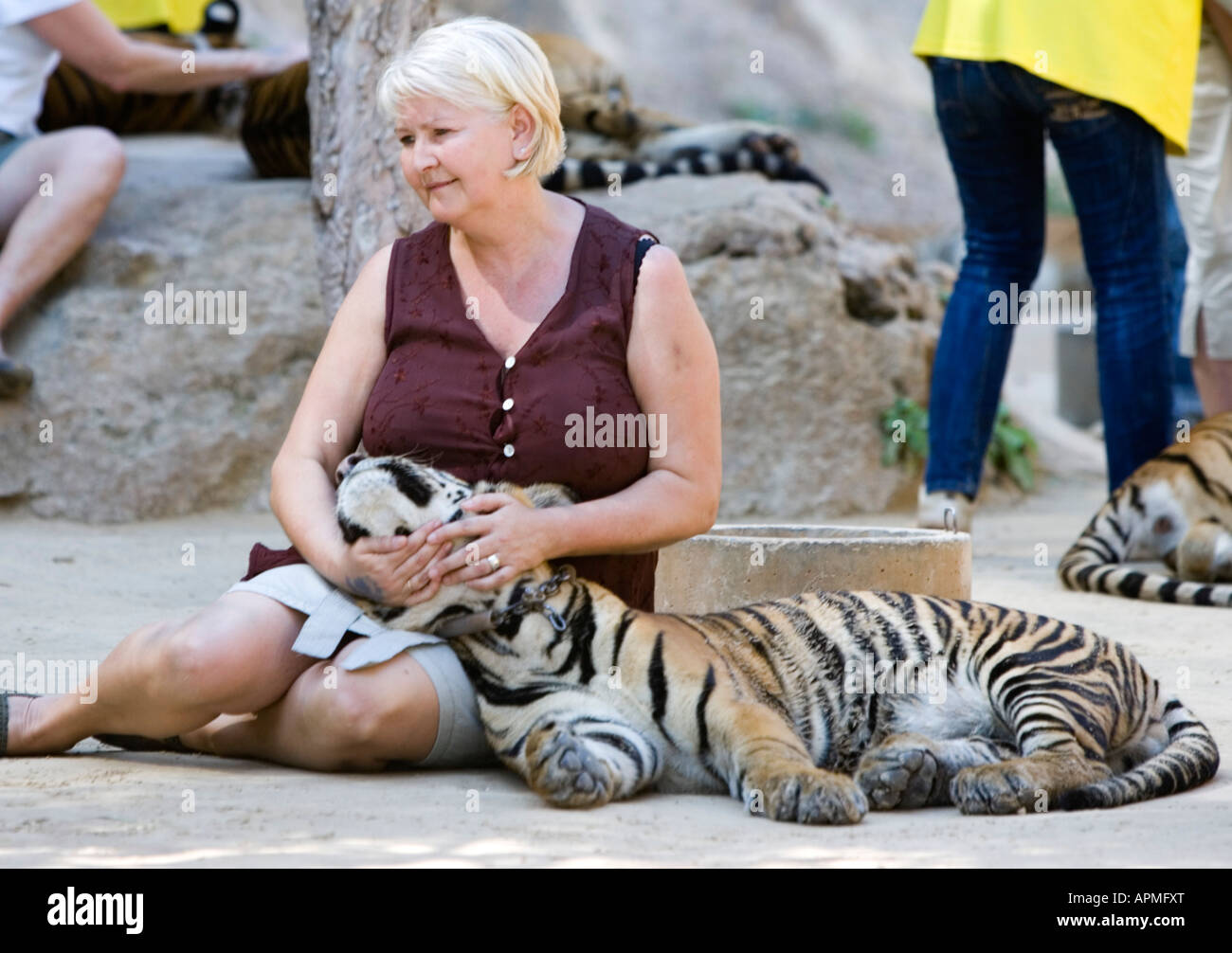 Tiger Temple près de la Thaïlande Kanchanaburi Banque D'Images