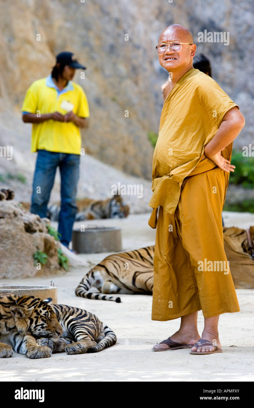 Tiger Temple près de la Thaïlande Kanchanaburi Banque D'Images