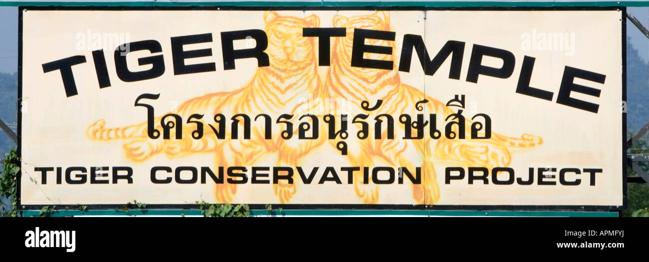 Tiger Temple près de la Thaïlande Kanchanaburi Banque D'Images