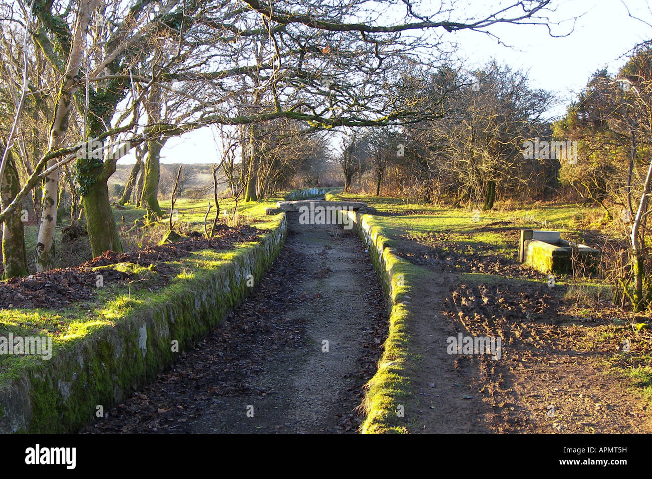 Près de Leat Drakes Devon Yelverton Banque D'Images