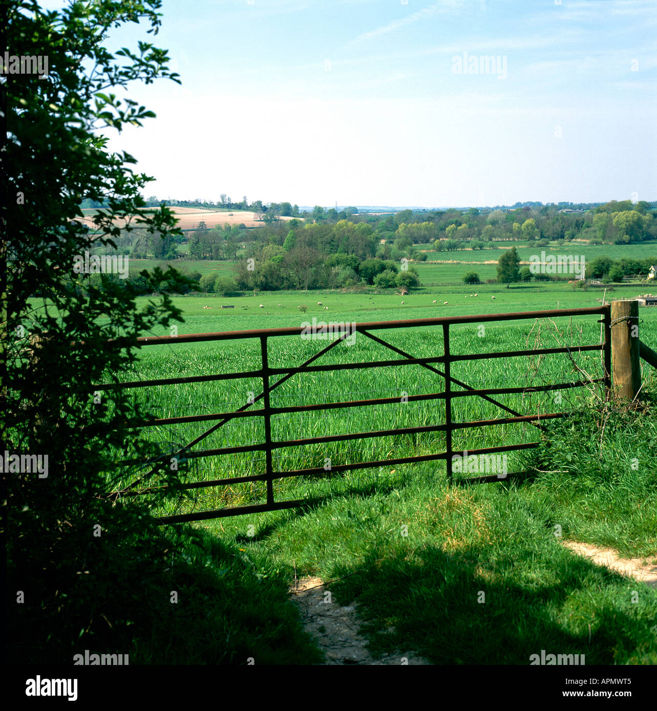Les terres rurales de la vallée de Test Banque D'Images