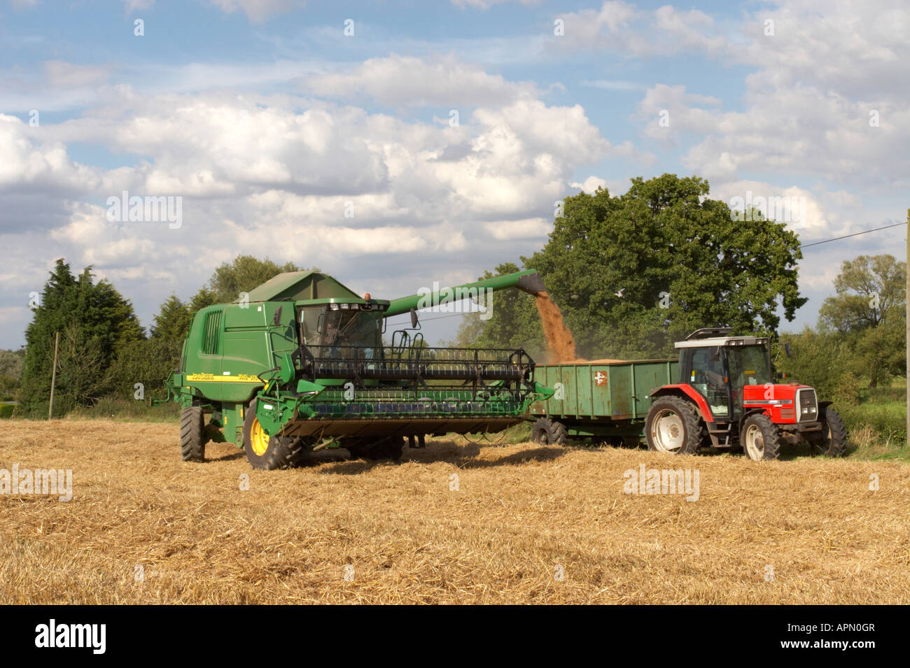Moissonneuse-batteuse John Deere s'acquitter de blé dans une remorque à Norfolk, UK Banque D'Images