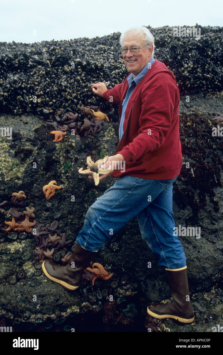 Université de Washington célèbre océanographe Robert T Paine, site de recherche, Mukkaw Bay, la péninsule Olympique, Washington USA Banque D'Images