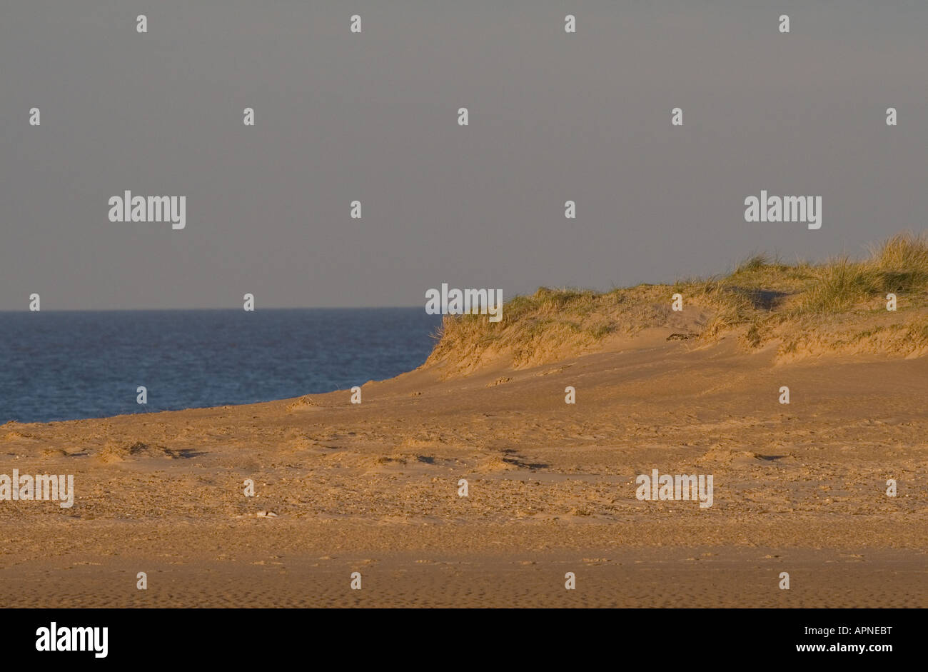 Les dunes côtières sur la côte Est de l'Angleterre Banque D'Images Les dunes côtières sur la côte Est de l'Angleterre Banque D'Images