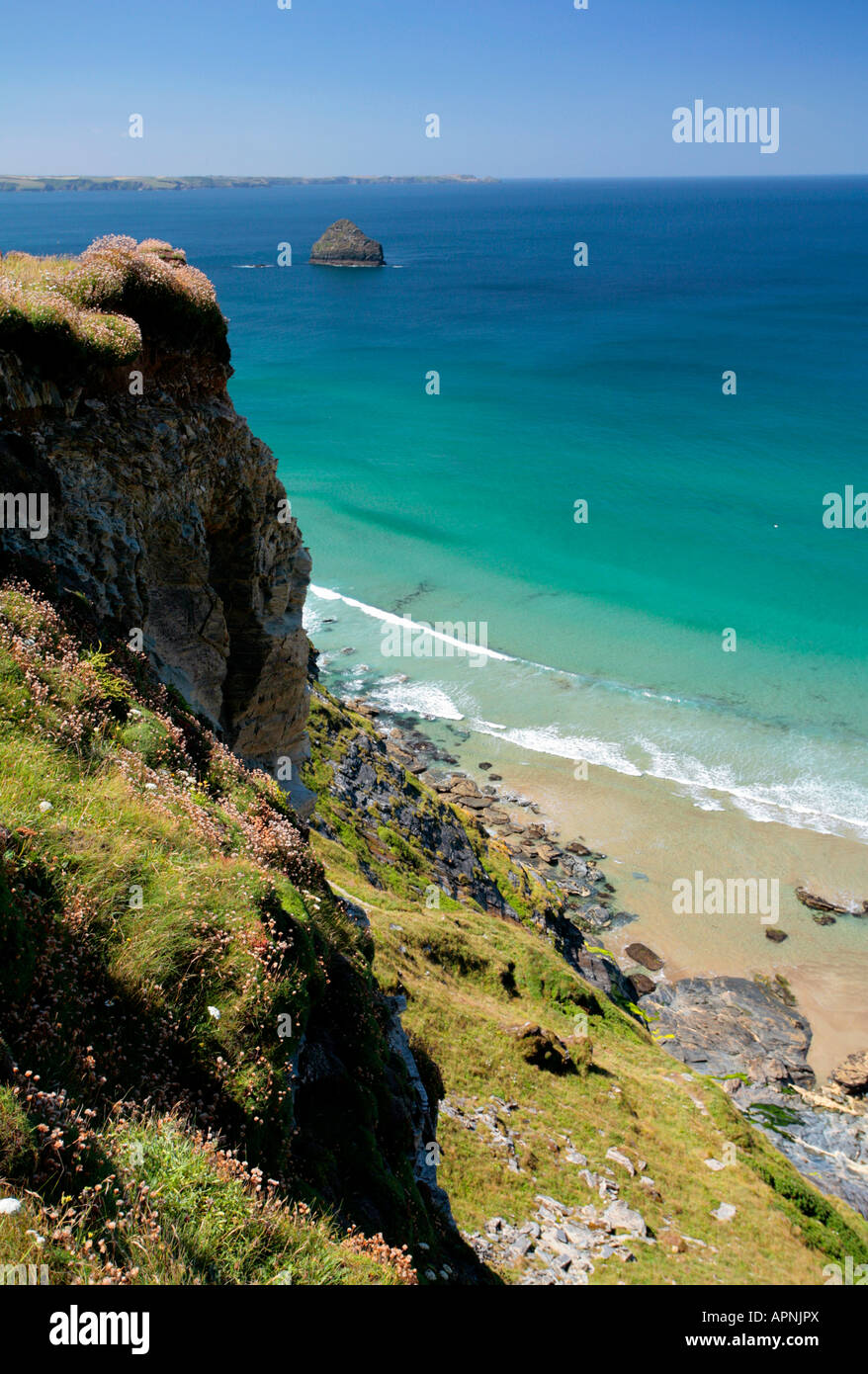 Falaises, plage et Gull Rock, près de Trebarwith Strand, Cornwall Banque D'Images