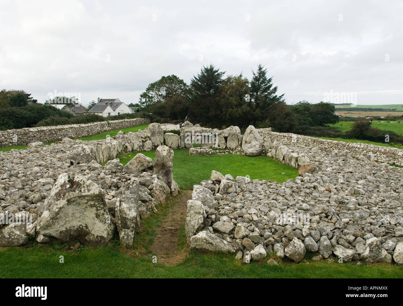 Creevykeel Cour chambre funéraire préhistorique Cairn complexe près de Cliffony, Comté de Sligo, Irlande. Entre 4500 et 5000 ans. Banque D'Images