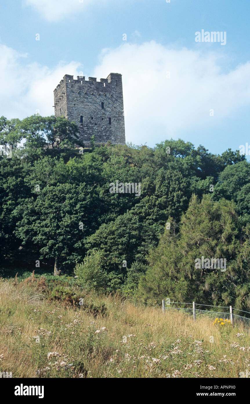 Le 13e siècle château de Dolwyddelan Banque D'Images