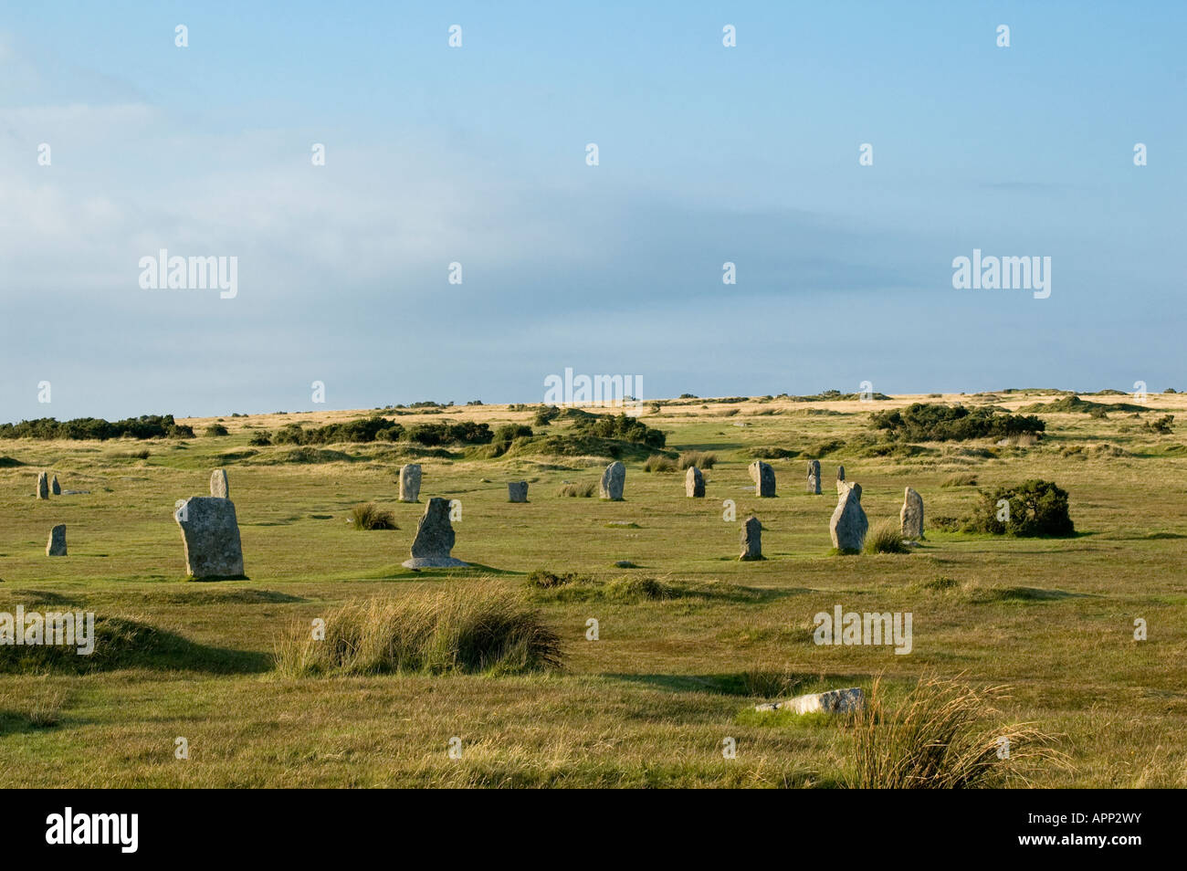 Figurent parmi les cercles de pierre de l'âge du bronze la lande de Bodmin Cornwall England UK Banque D'Images