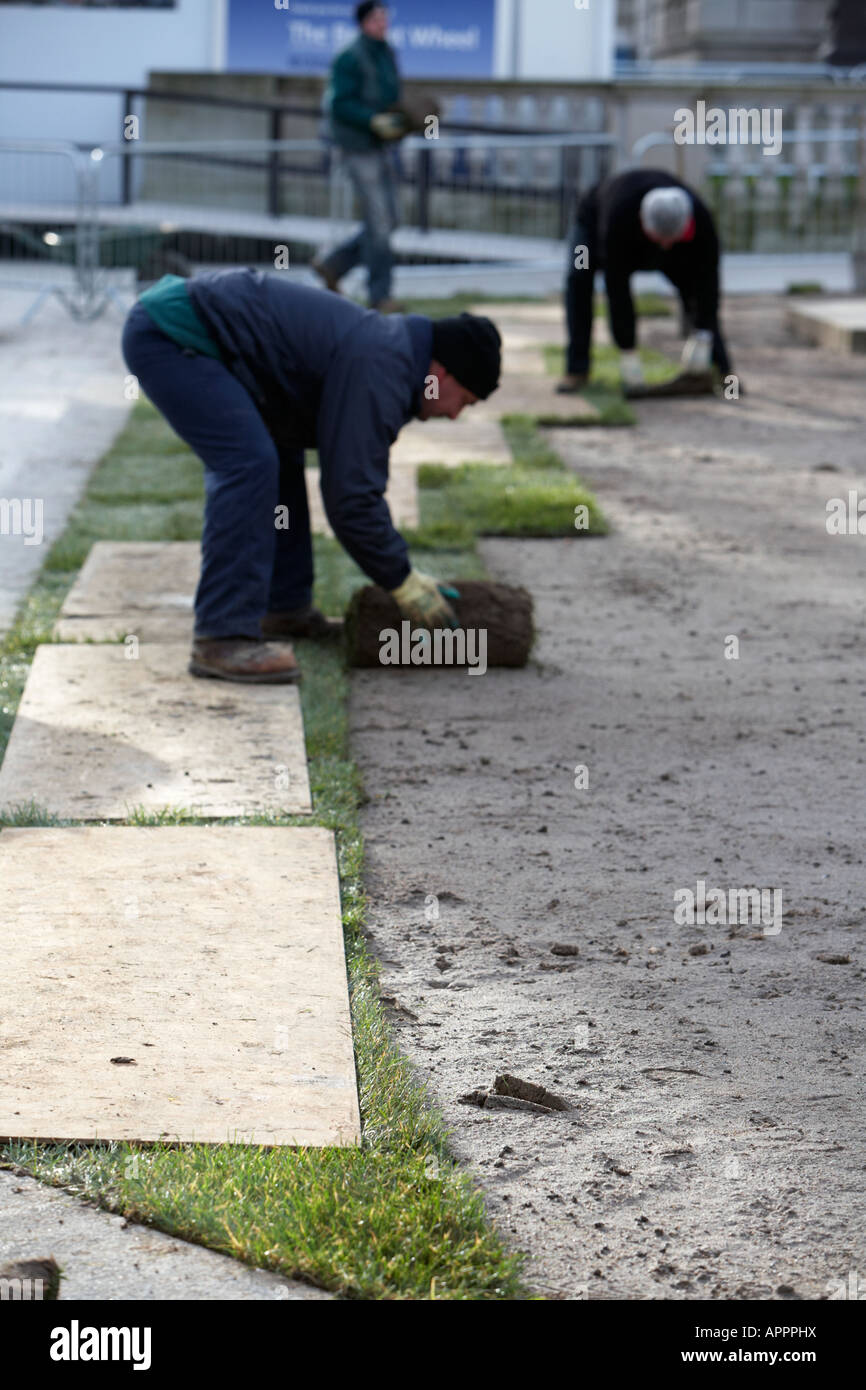 Rangée de planches fixées sur pelouse fraîchement posées pour le protéger en tant que travailleurs continuent de poser de nouveaux rouleaux de l'Irlande du Nord Belfast gazon Banque D'Images