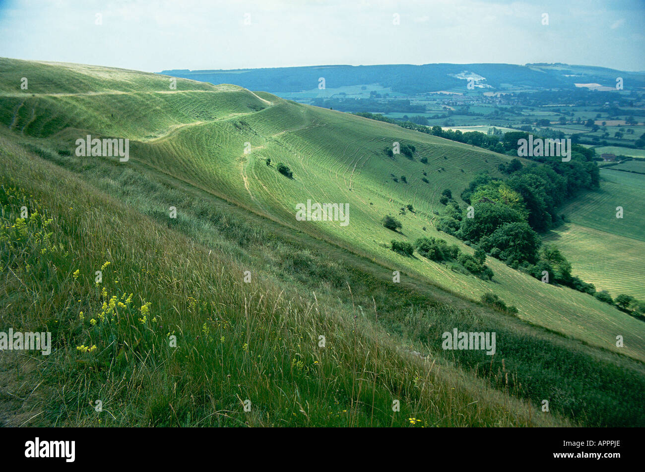 Les remparts de Hambledon Hill s'Âge de Fer de fort Banque D'Images