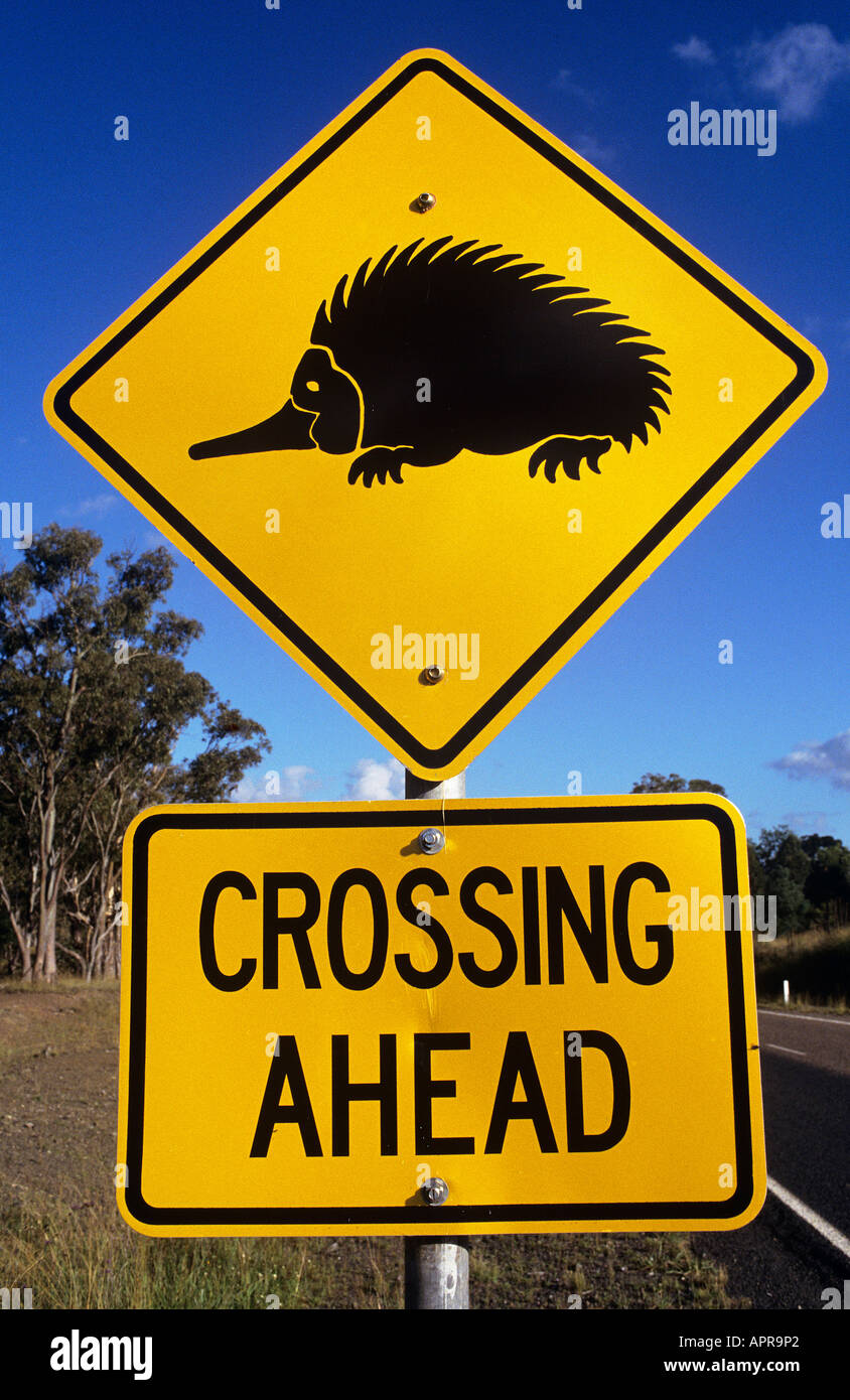 Un panneau jaune d'avertissement du danger de fourmiliers crossing en Nouvelle Galles du Sud Banque D'Images