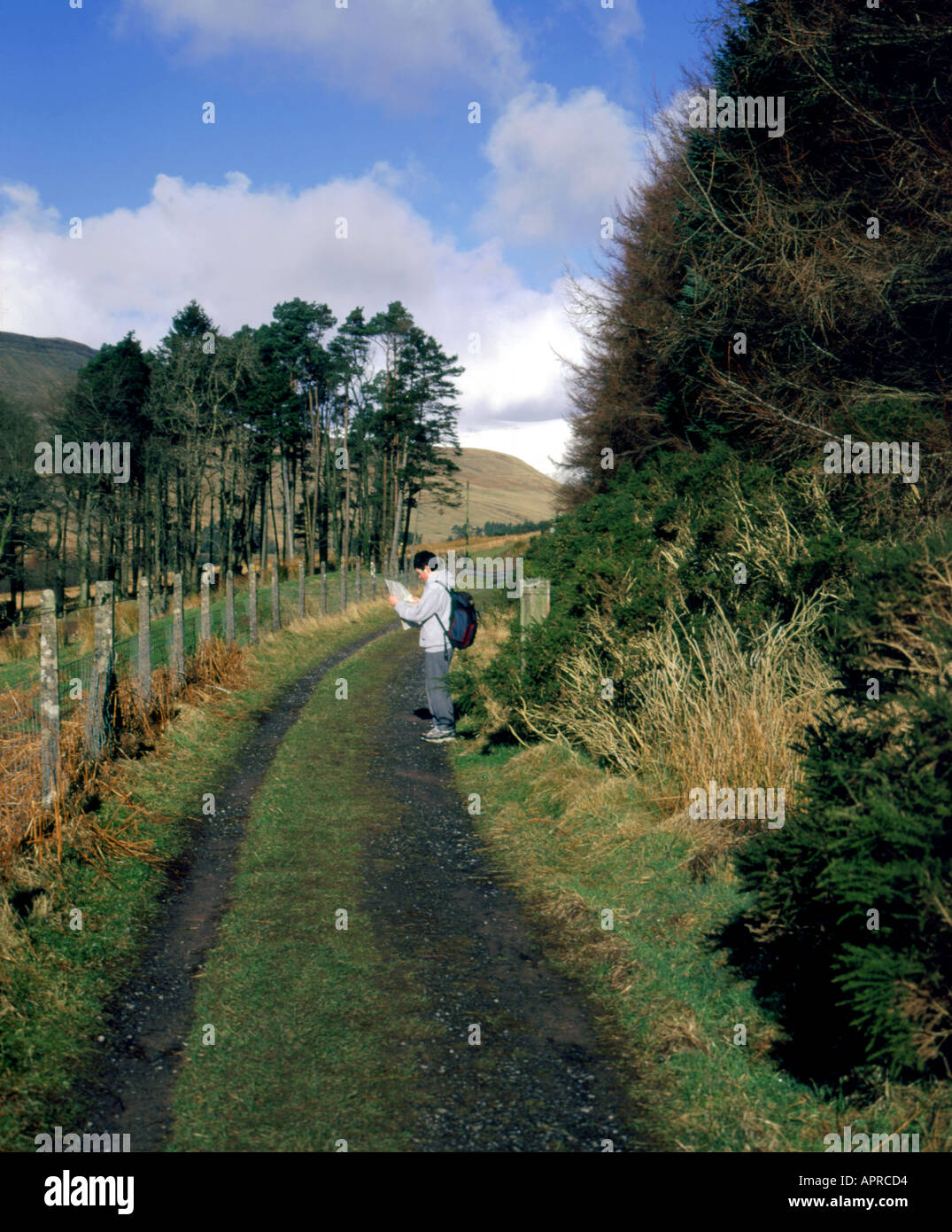 Boy reading map Taff Trail taf fechan sentier national Brecon Beacons au Pays de Galles Banque D'Images