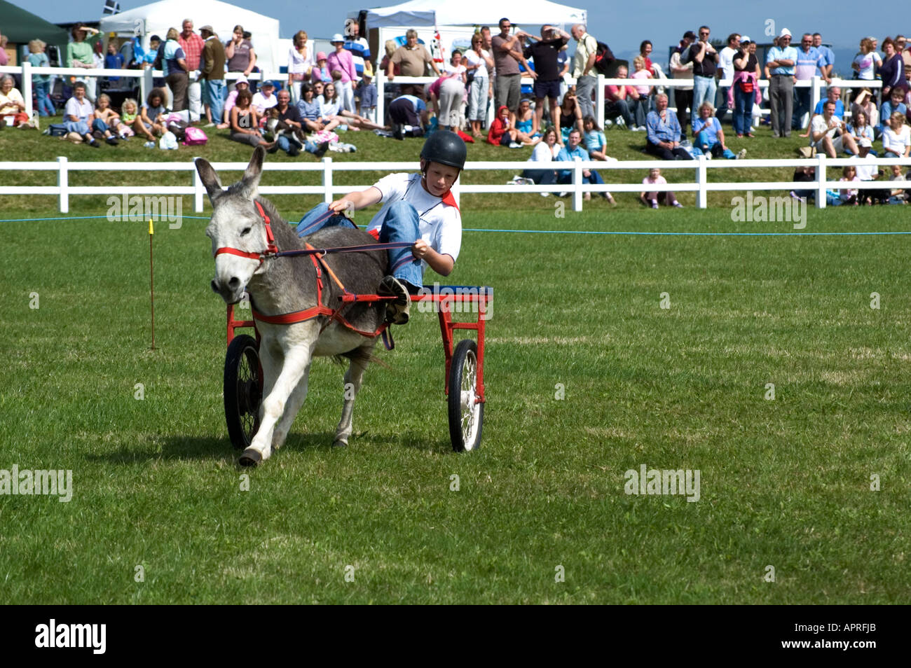 Un poney et équitation jeune piège Banque D'Images