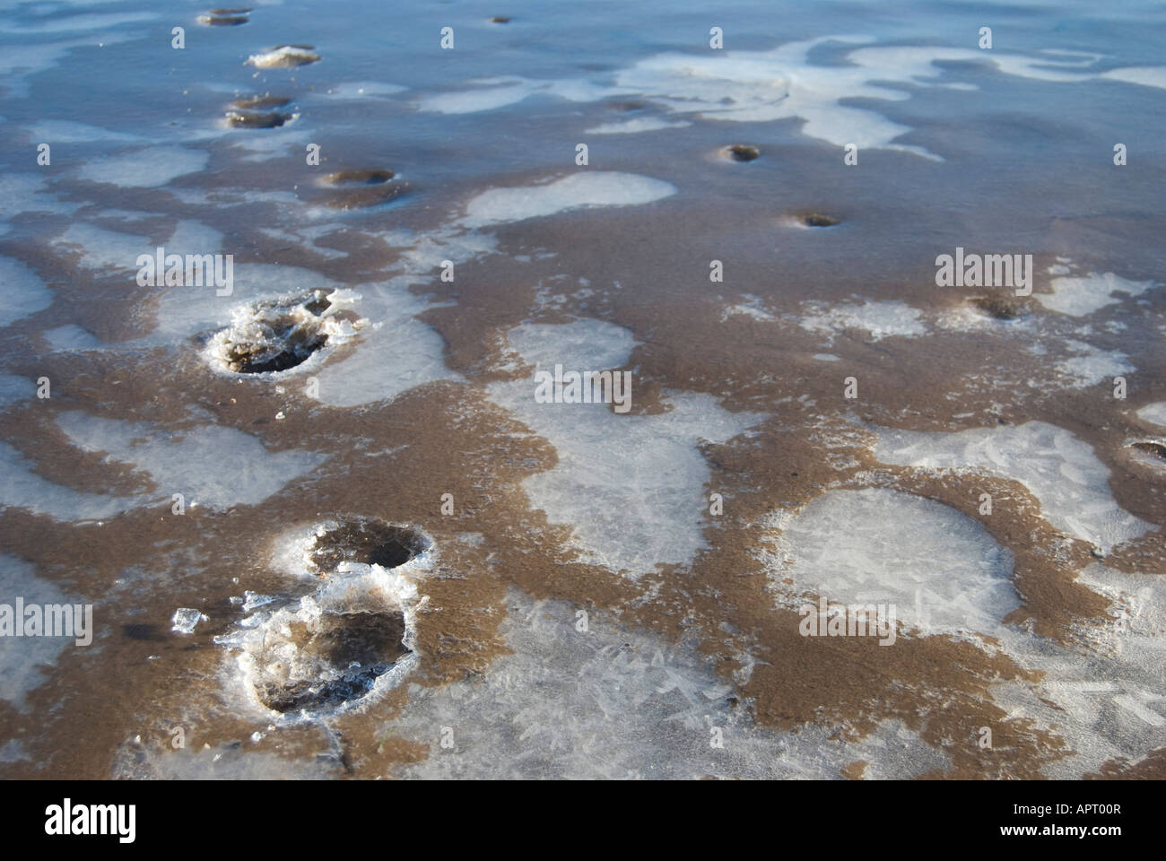 Marcher sur l'eau Banque D'Images