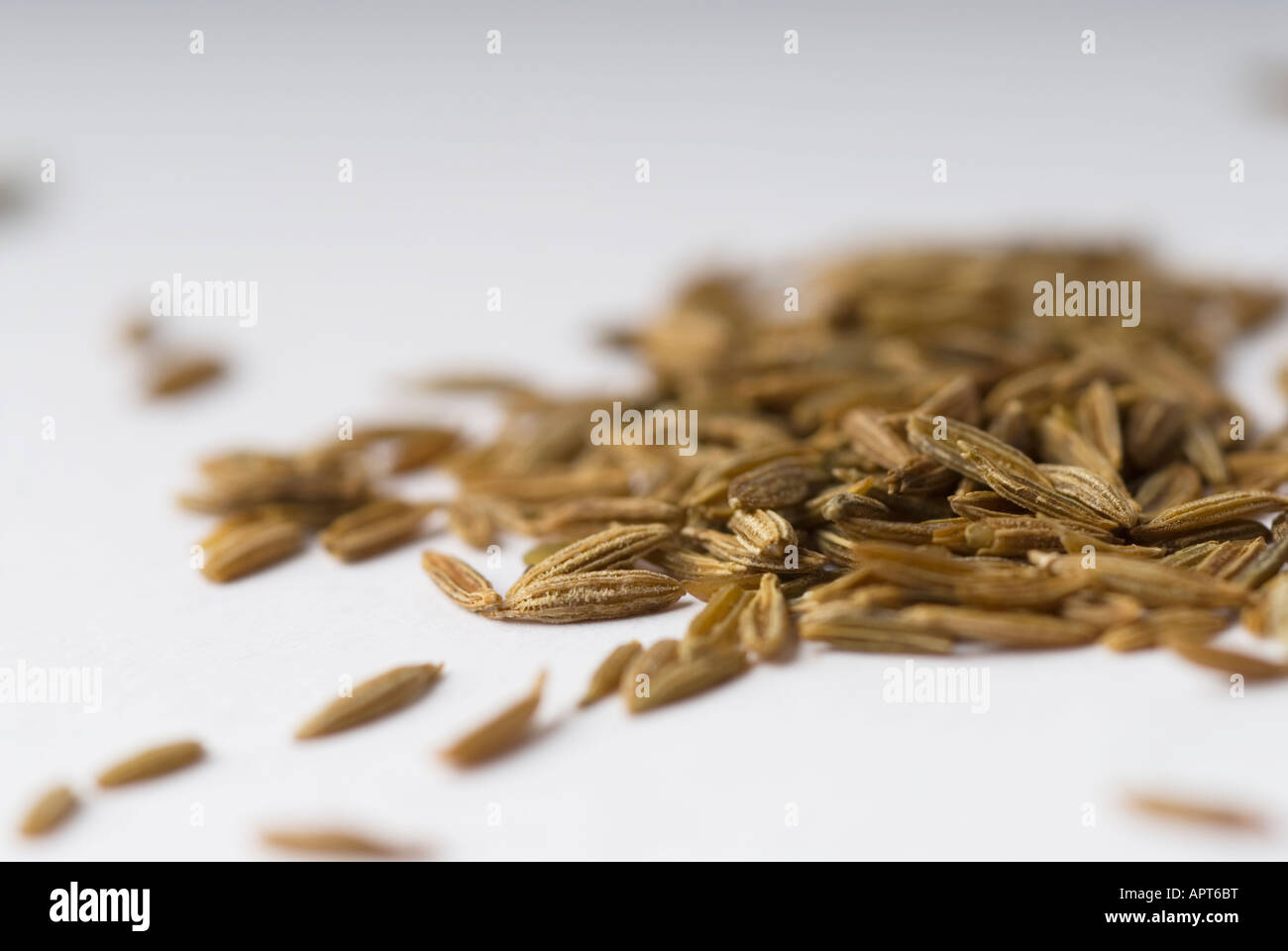 Image d'un tas de graines de cumin Le Cumin est une plante herbacée annuelle cultivée principalement pour ses graines d'être largement utilisées dans la cuisine indienne Banque D'Images