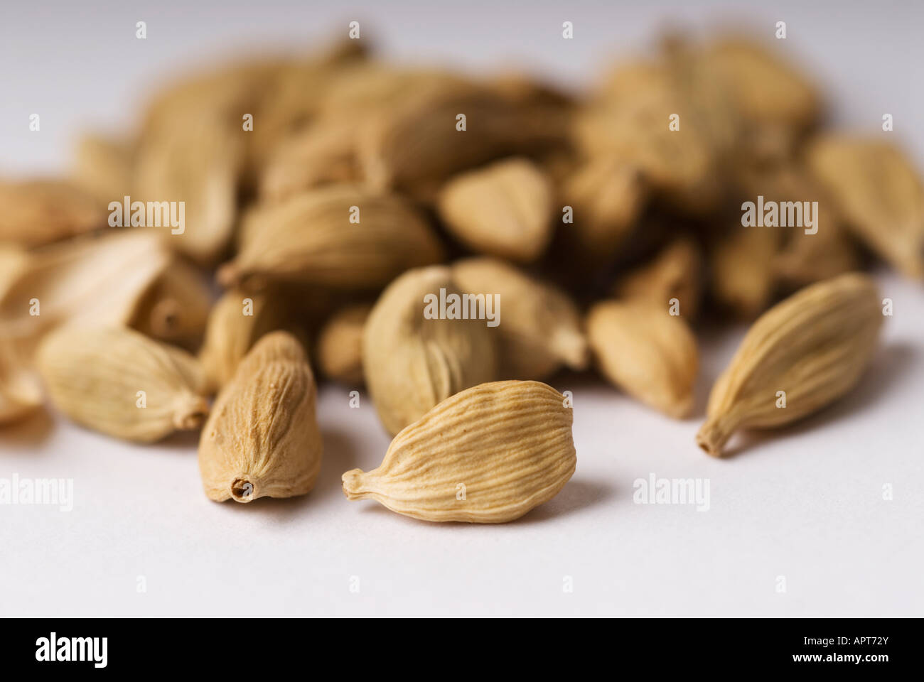 Image d'un tas de graines de cardamome verte Banque D'Images