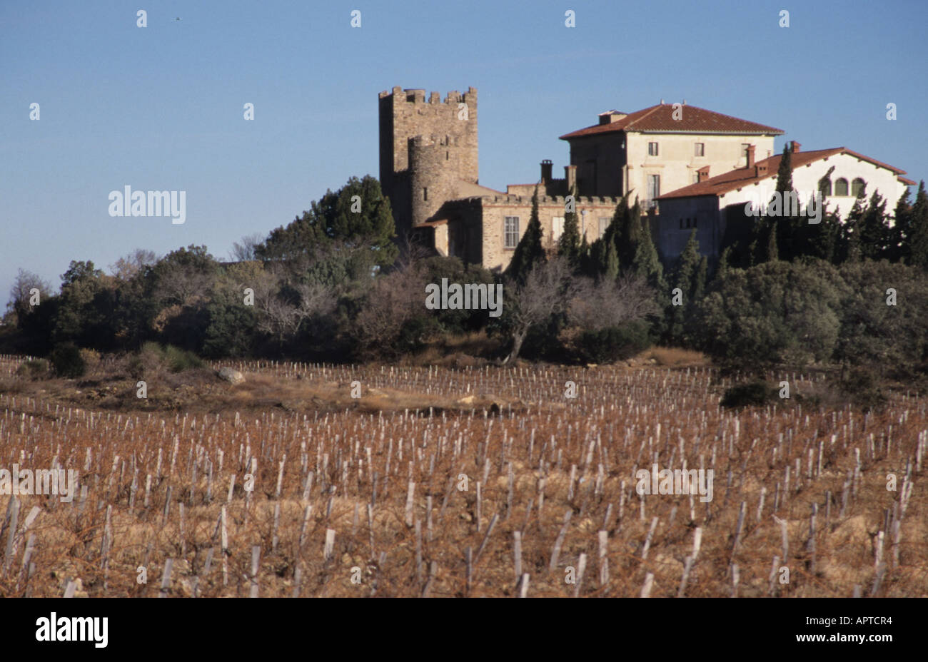 Carcassonne France château vignoble vin Français Banque D'Images